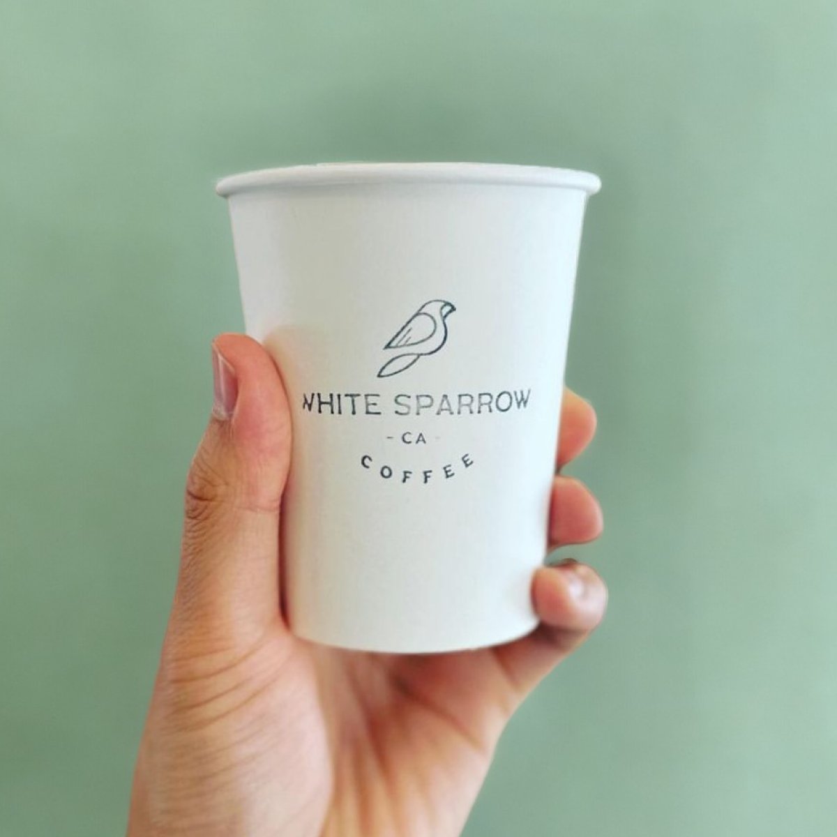 White Sparrow Coffee photo
